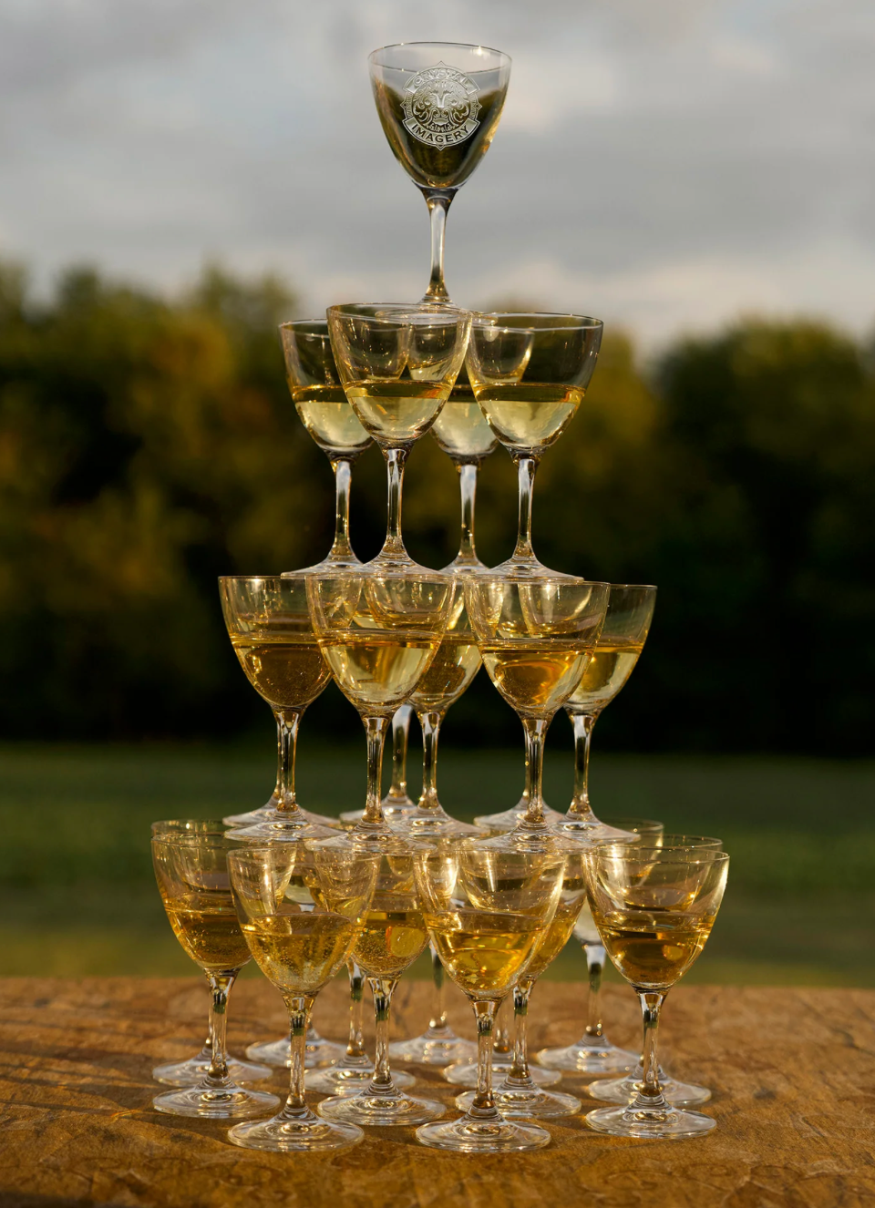 When to Use a Martini Glass vs Coupe Glass