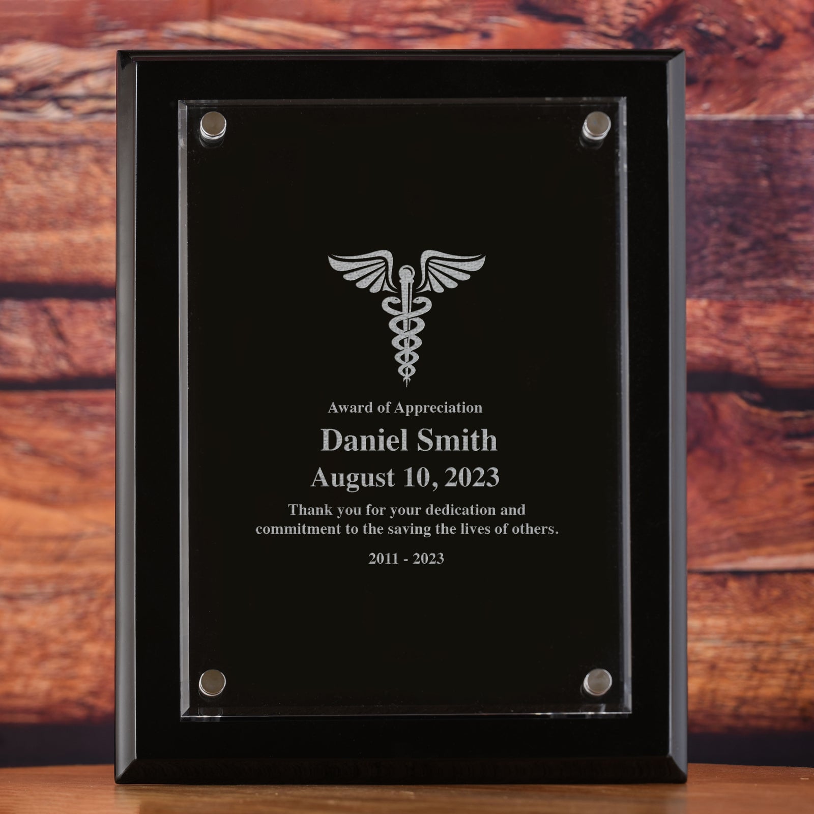 Medic, Doctor, Nurse, Wall Plaque Recognition Award